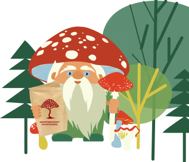 изображение героя